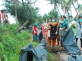 14kochii04