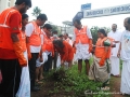 14kochii06