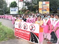14kochii08