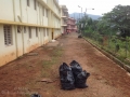 14sabarimala-31