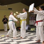 Taekwondo from Milan, White cranes fly to Kenya
