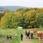 Hard work and a unified spirit- MA Center, Germany
