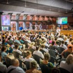 What people say about Amma